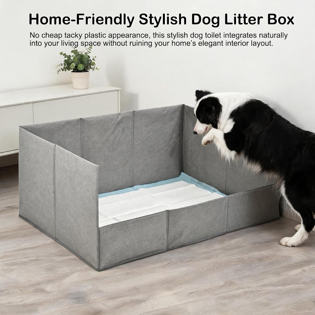 dog litter box indoor with high walls 23"x34"x17" shown in use