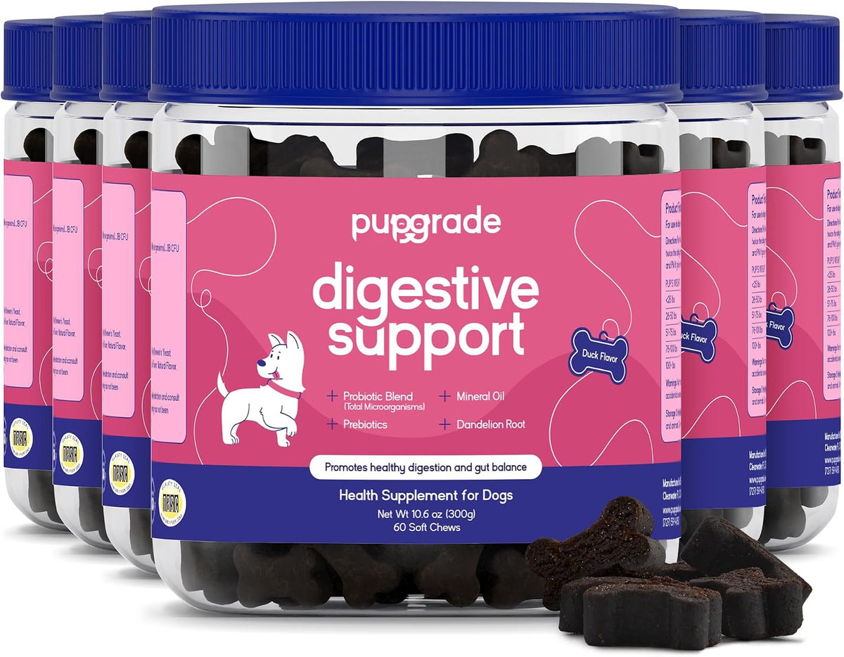 pupgrade digestive support for dogs, duck flavor, main product view