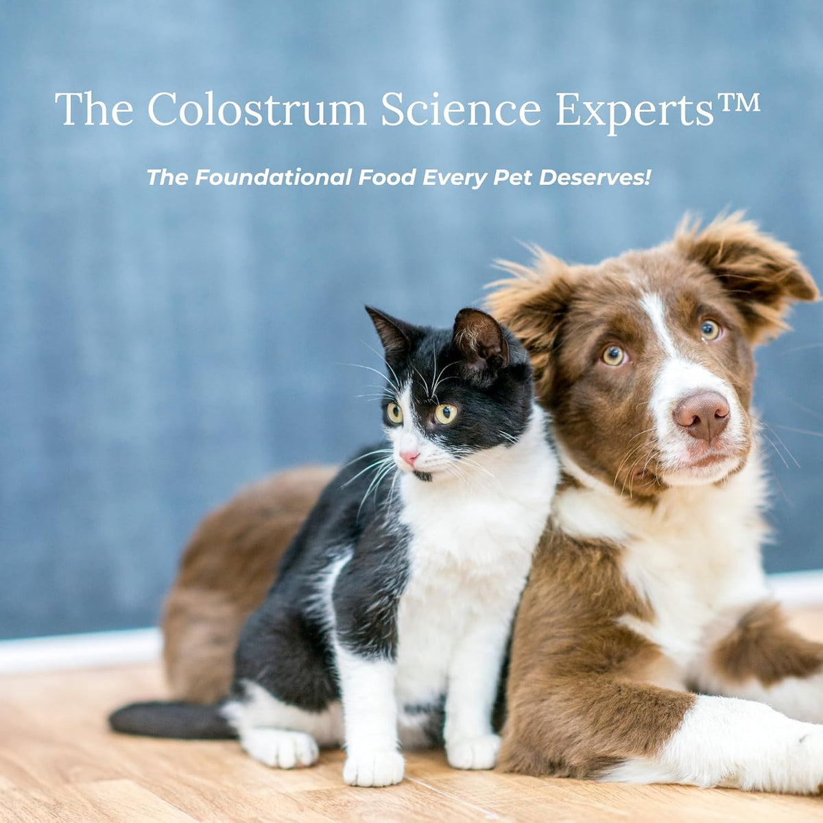 veterinarian approved super pet nutrition - for dogs, side view
