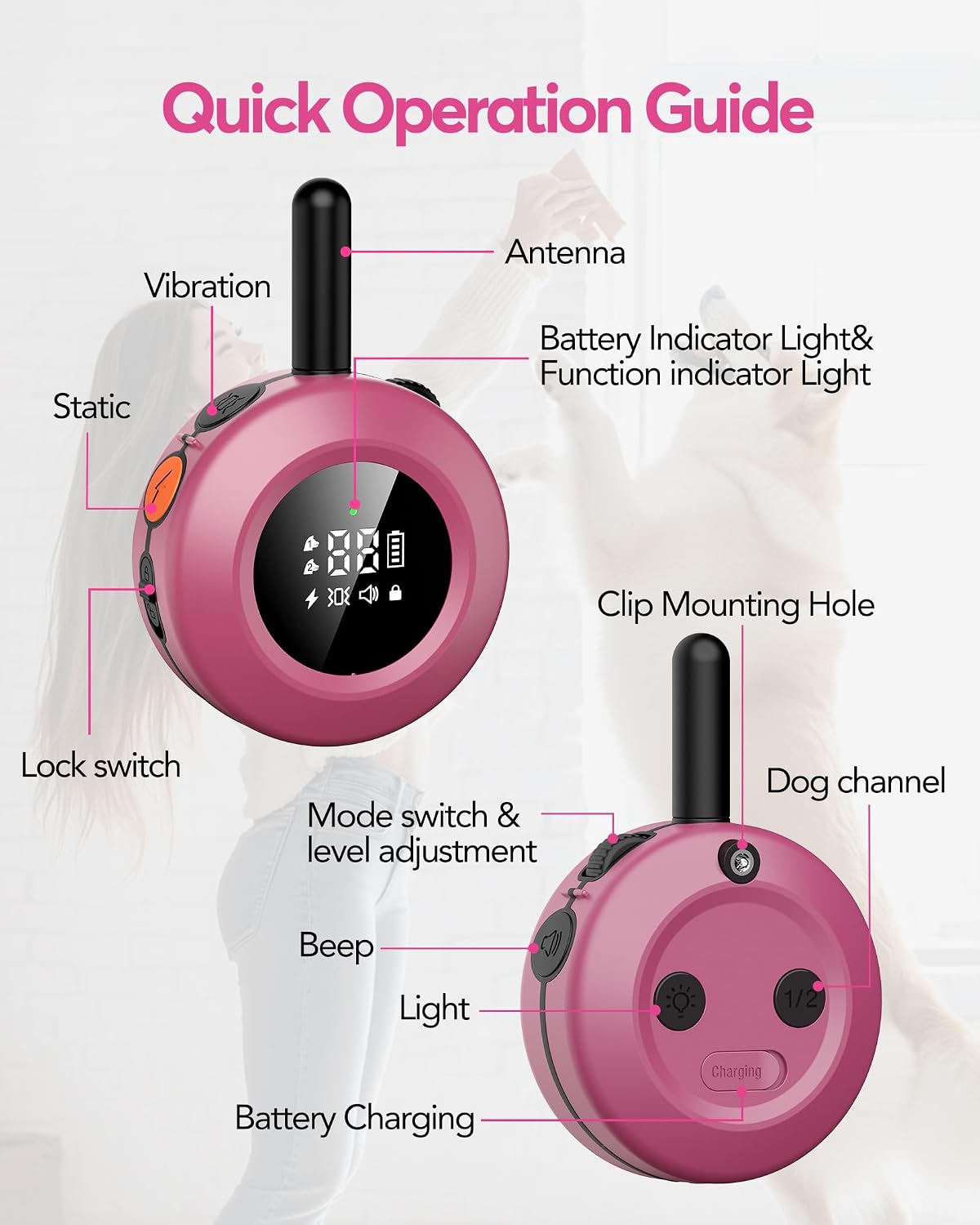 dog shock collar - 3/4 mile dog training shown in use