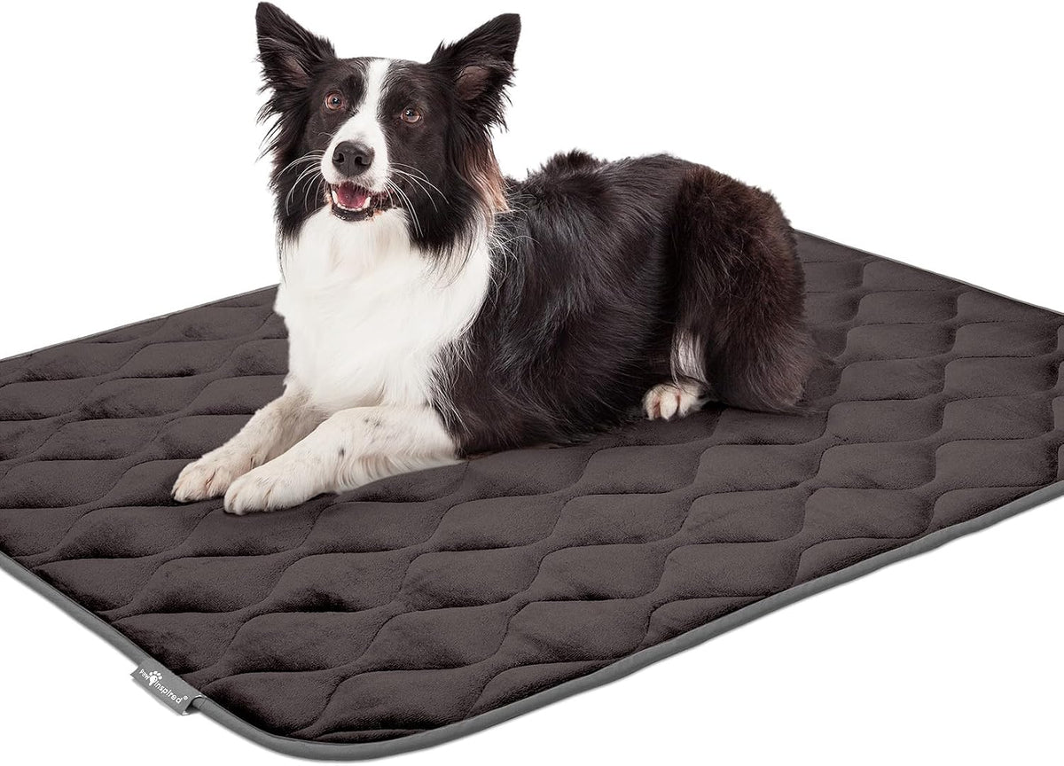 paw inspired washable padded crate mats for dogs on a desk or shelf