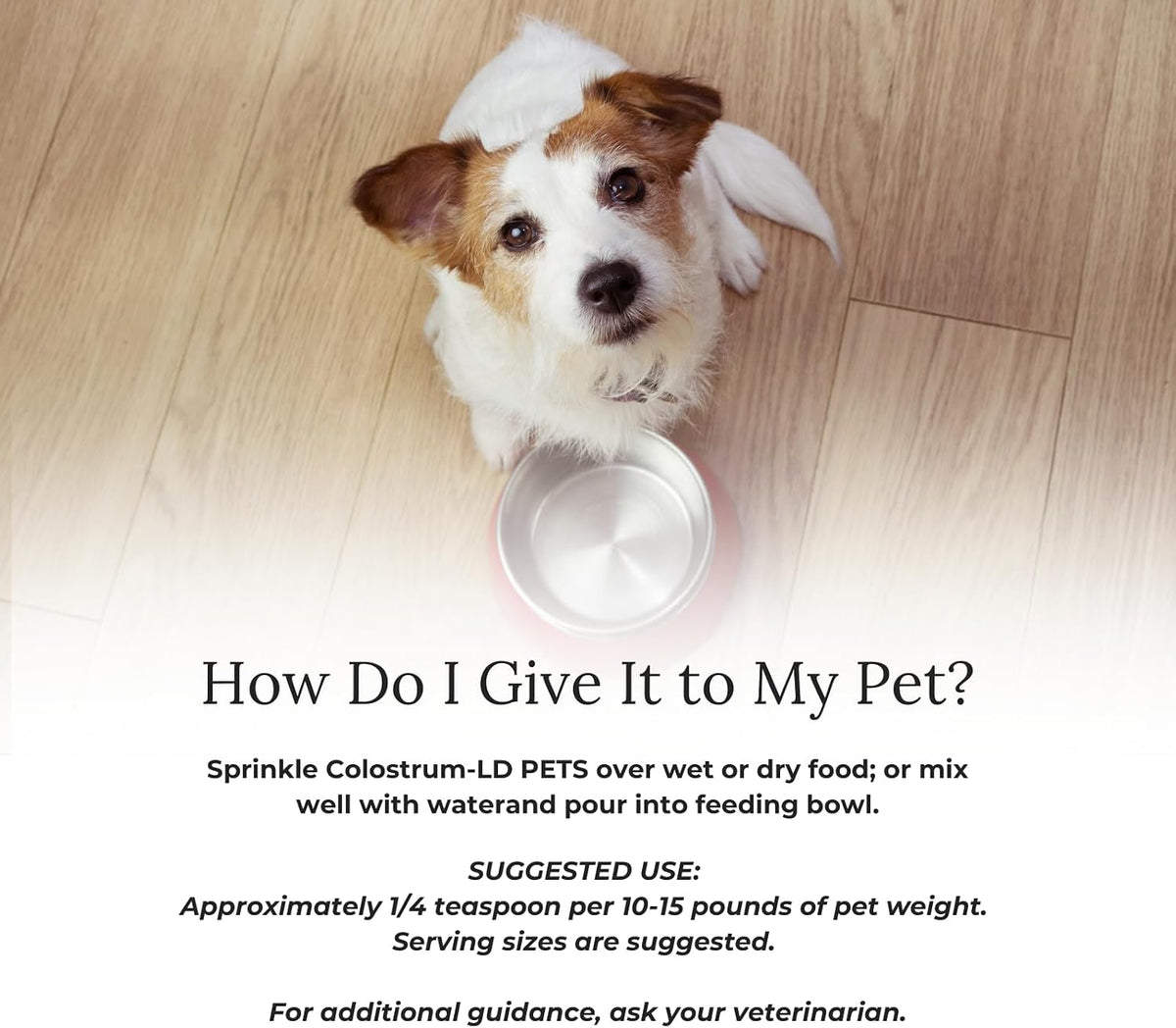 veterinarian approved super pet nutrition - for dogs showing dimensions