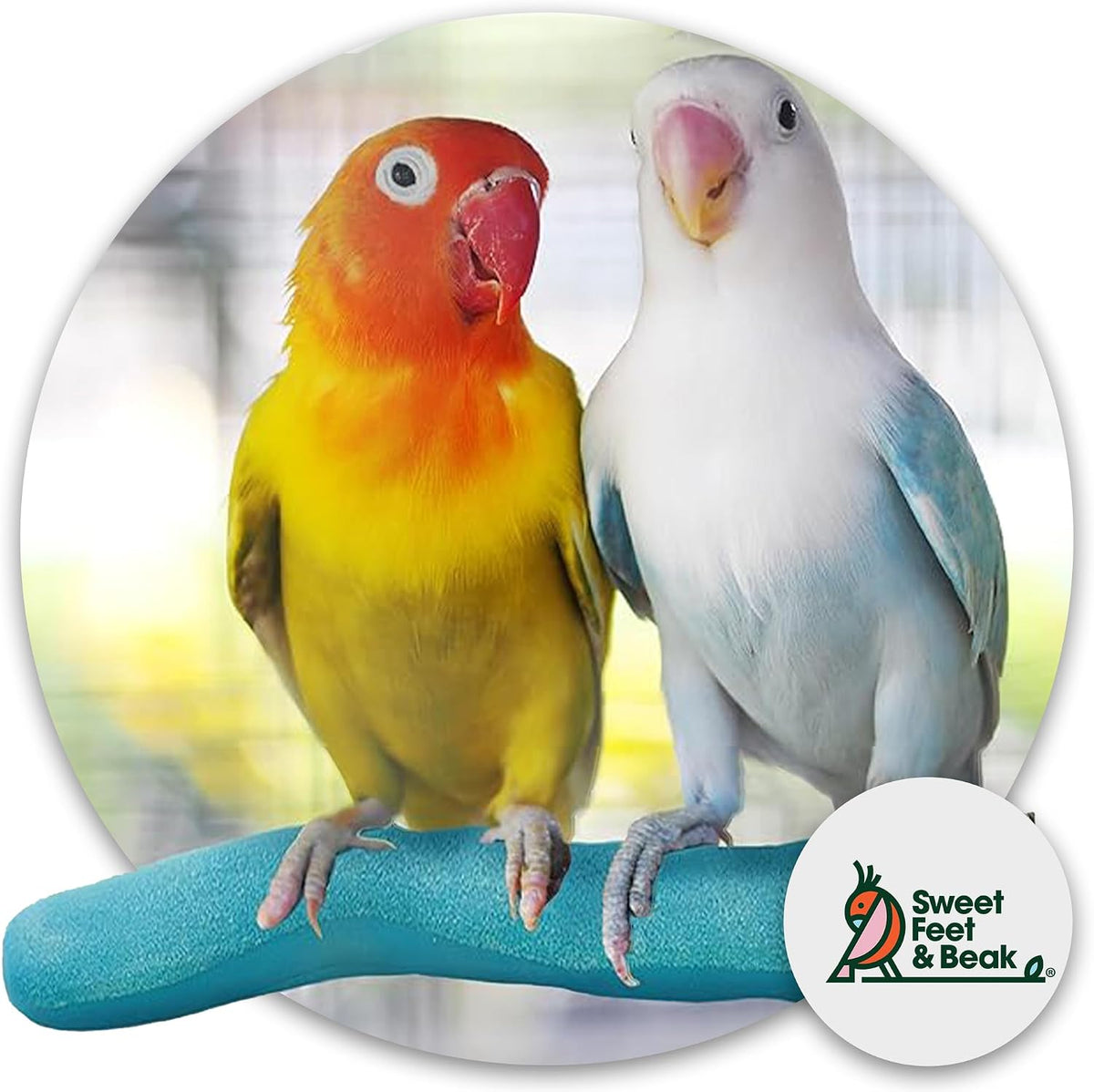 sweet feet and beak safety pumice bird perch shown in use