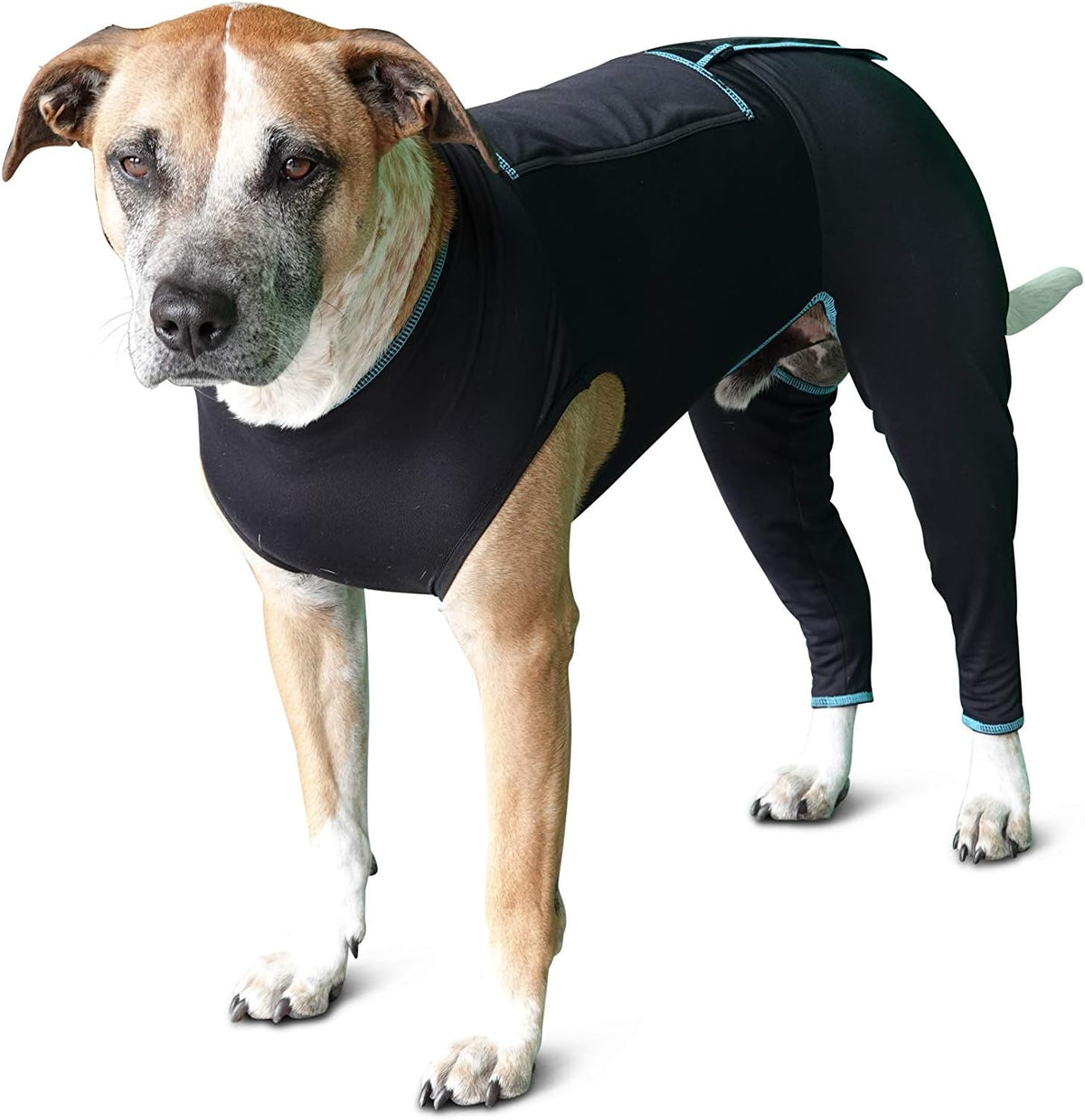 benefab therapeutic comfort suit for dogs — lightweight, main product view