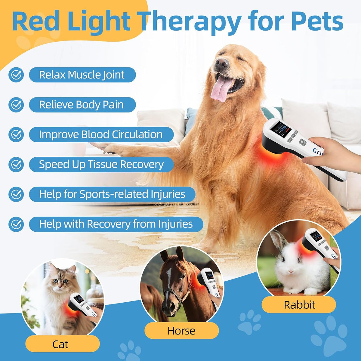 cold laser therapy for dogs, low level laser, side view