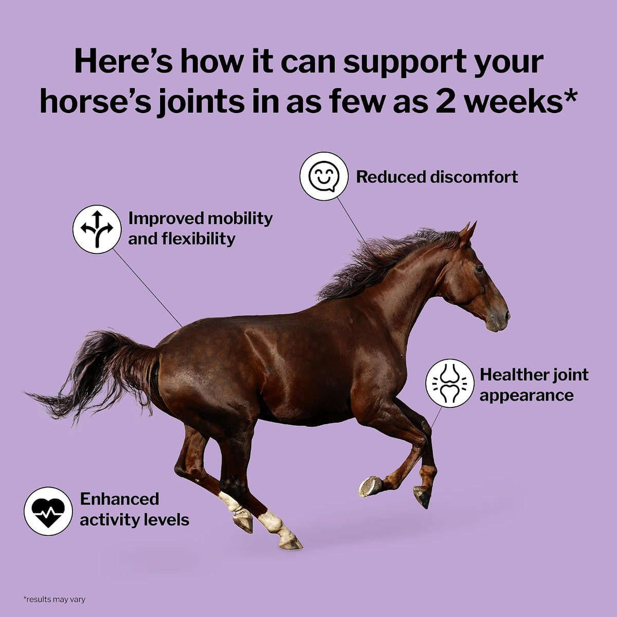 formula 707 joint 6-in-1 supplement for horses, 10 shown in use