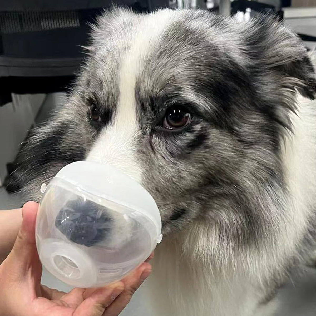 pets only low-noise large mask pet-mist-device with the, side view