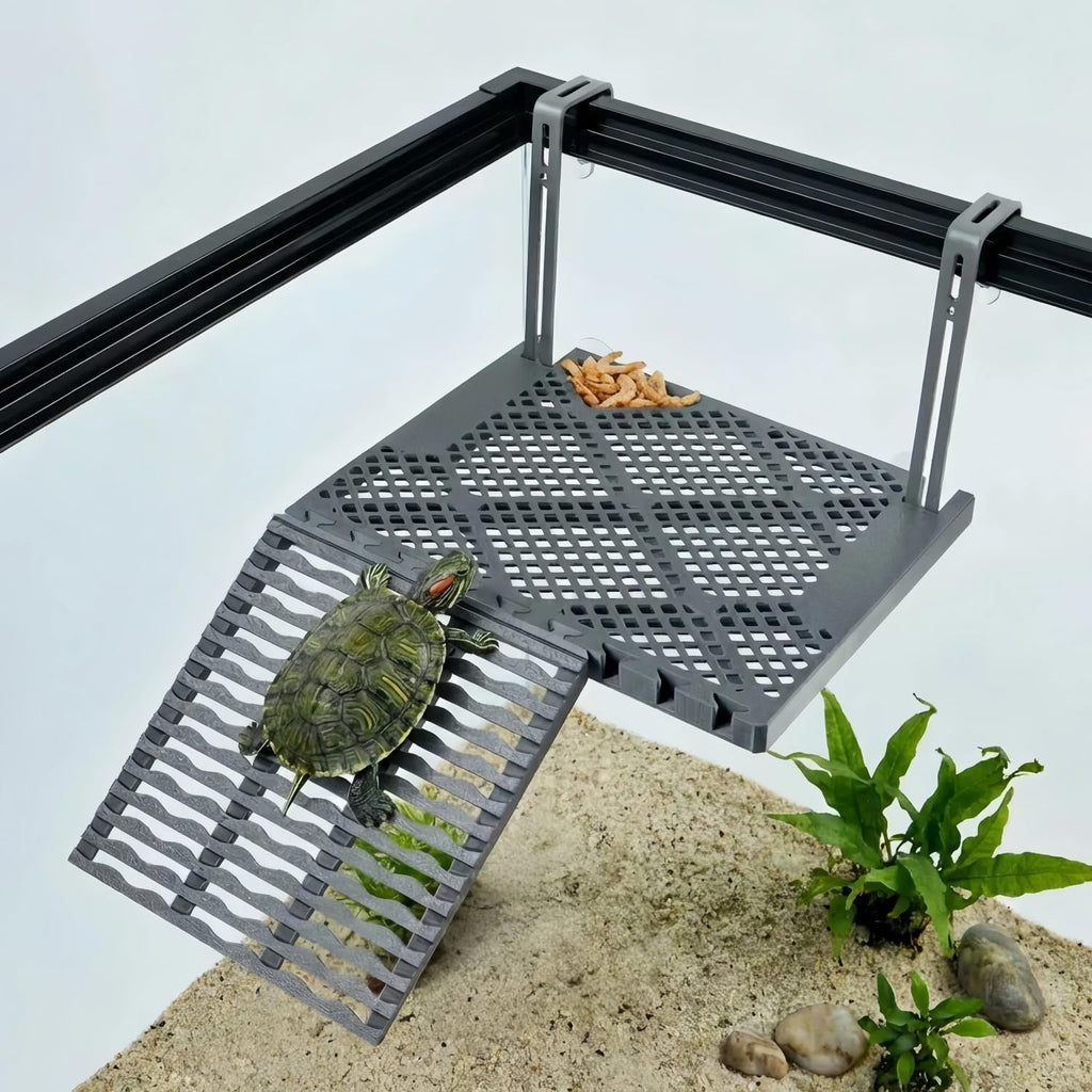 solidform hanging turtle basking platform with built-in food, main product view