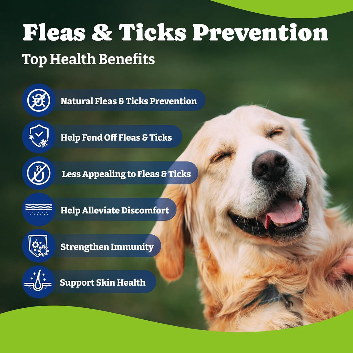 flea & tick prevention for dogs chewables,oral flea, close-up detail