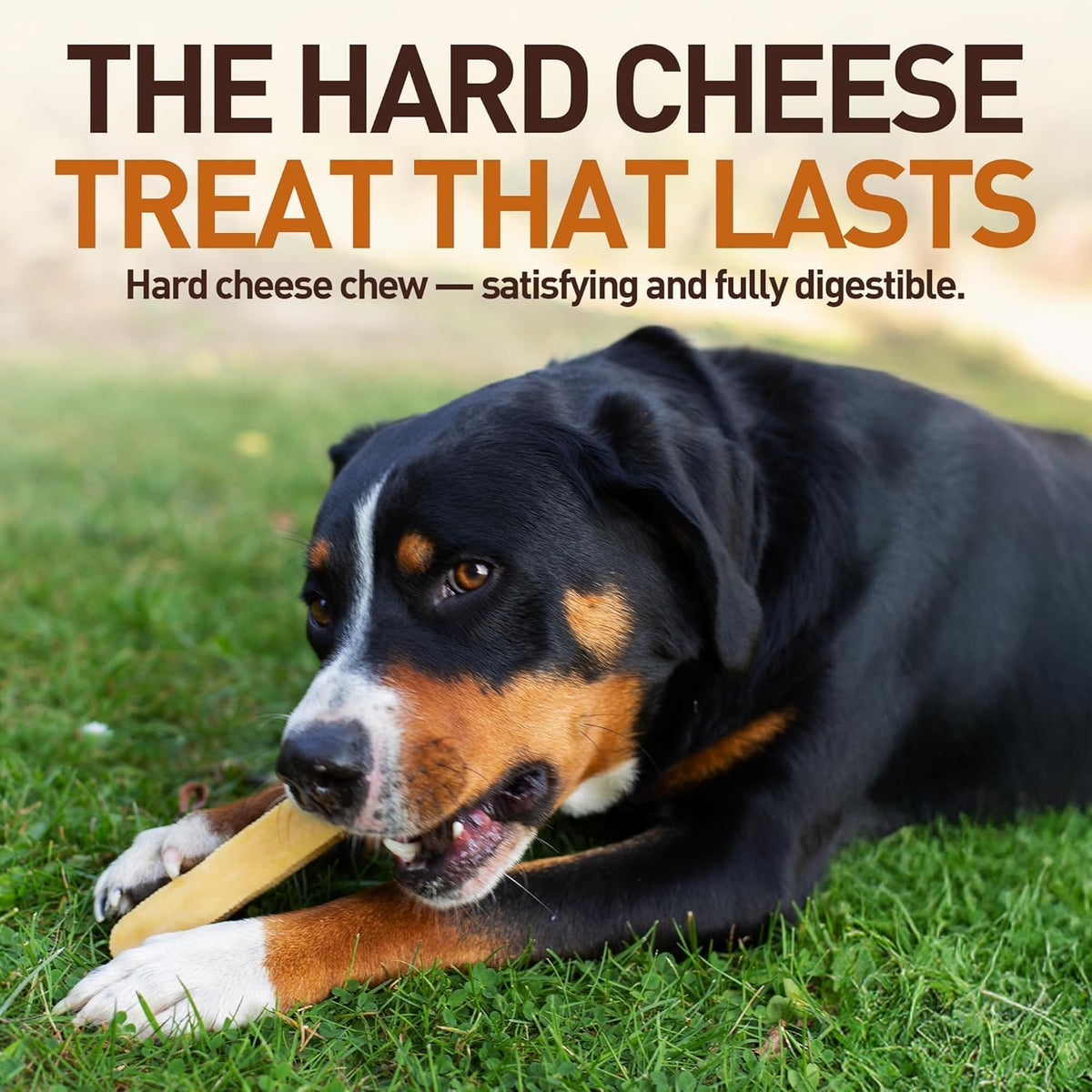 wildfang® yak chews, x-large for dogs over 99, close-up detail
