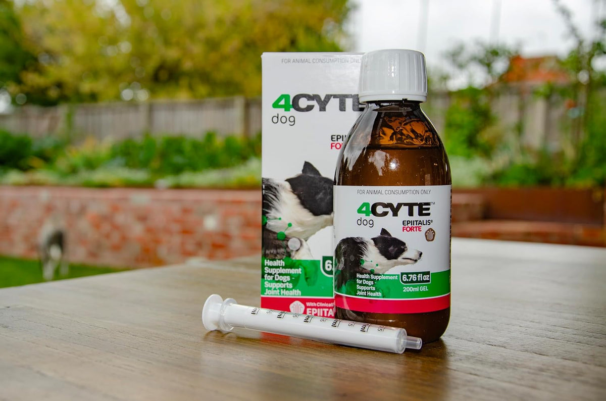 4cyte epiitalis forte dog joint supplement gel –, close-up detail