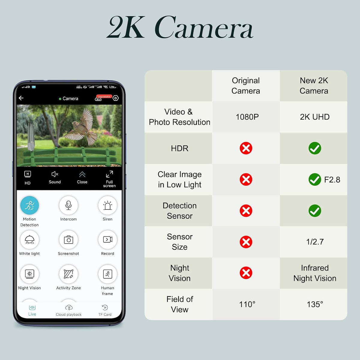 smart bird feeder with camera,2.1l-with camera with ai, close-up detail
