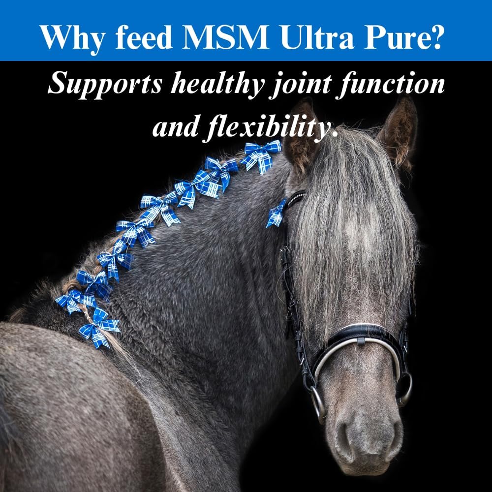 su-per msm ultra pure supplement for horses, 10, side view