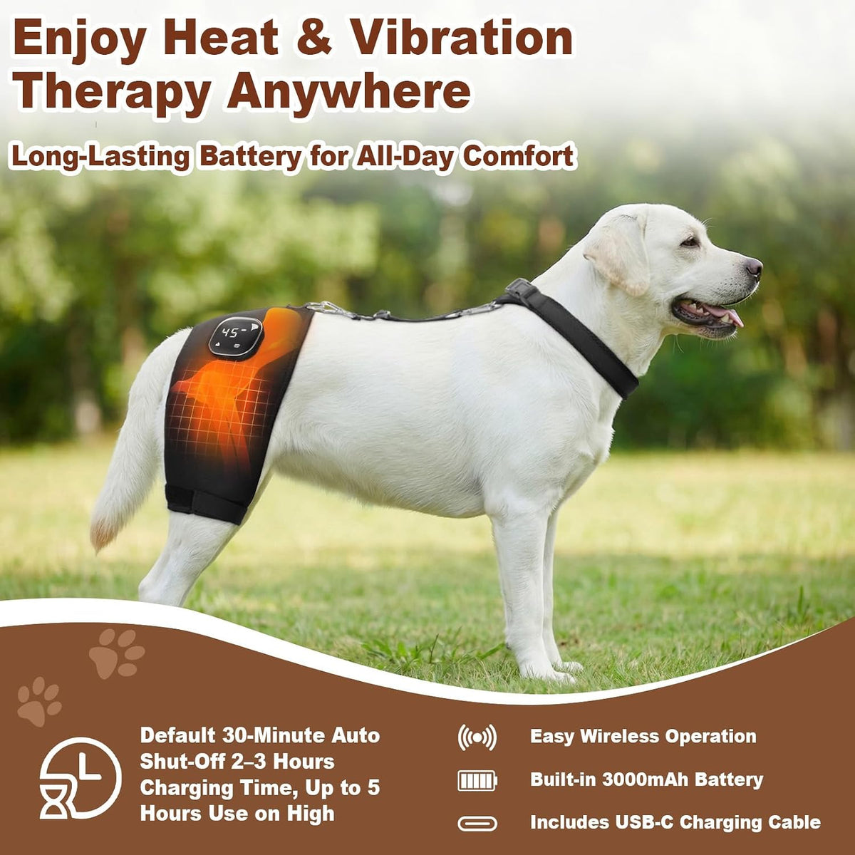 dog hip brace with heat & vibration, patent shown in use