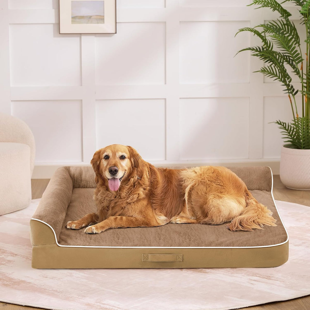 orthopedic dog bed for medium size dog, 36"x27"x6.5", front angle view