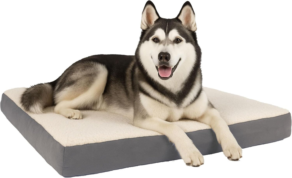 orthopedic dog bed - 2-layer 44x35-inch memory foam, main product view