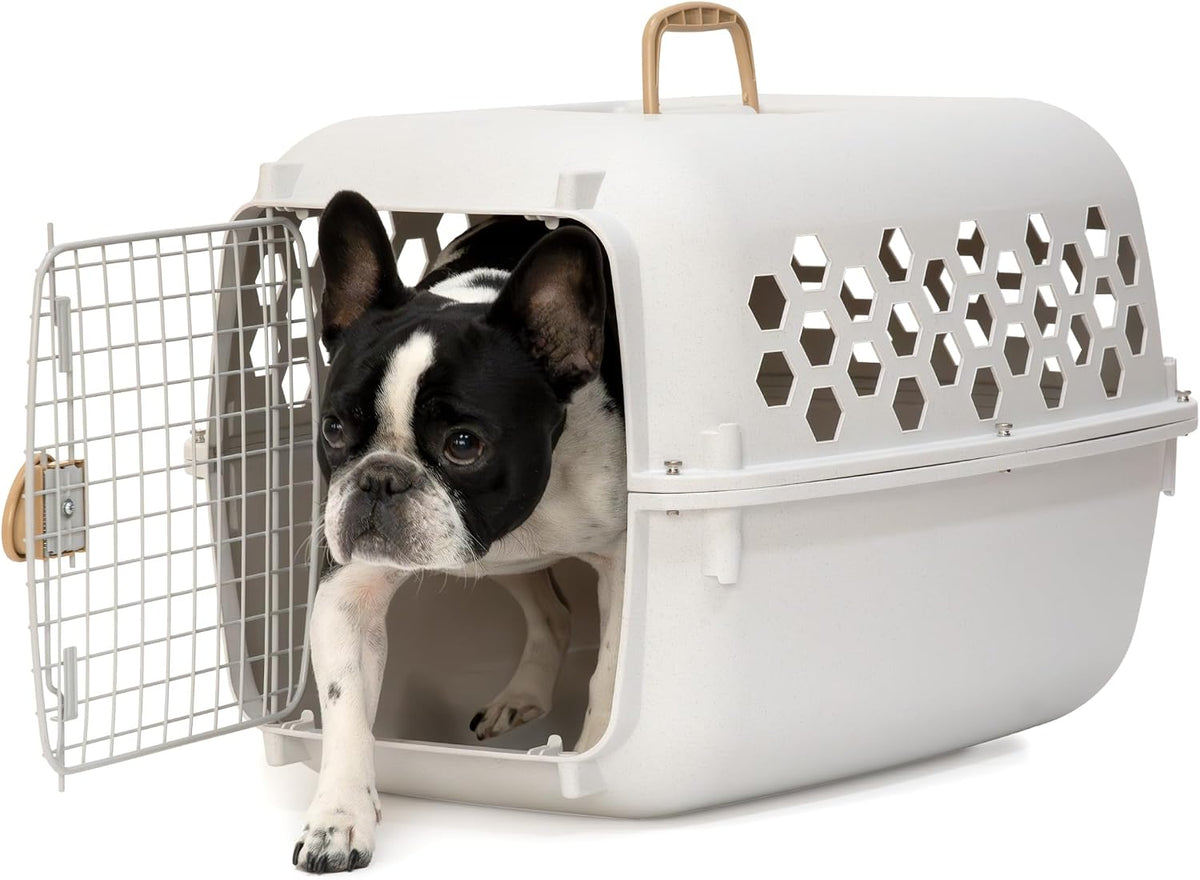 sportpet 26” small front load hard sided pet, main product view