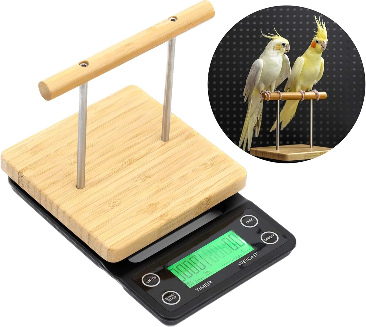 neouza bird scale with perch for small & shown in use