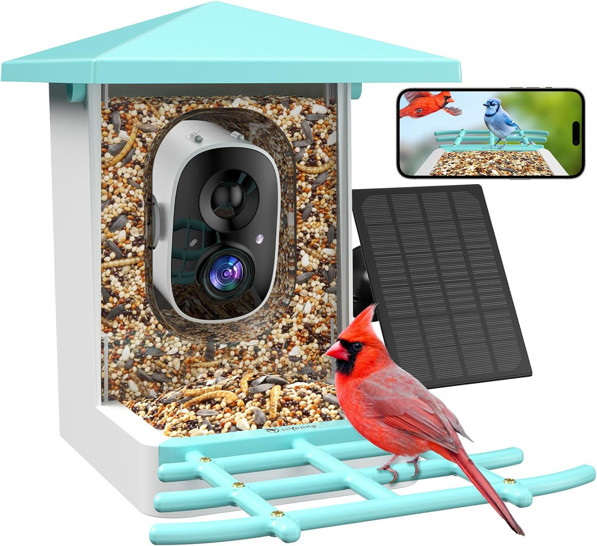 smart bird feeder with camera, 2.5k live cam, main product view