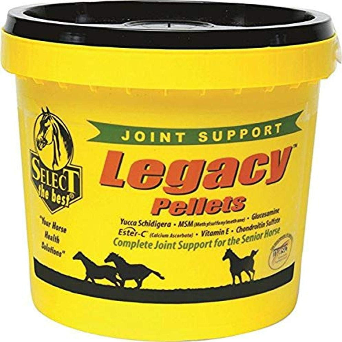 richdel 784299542006 legacy pellets joint support for senior, main product view