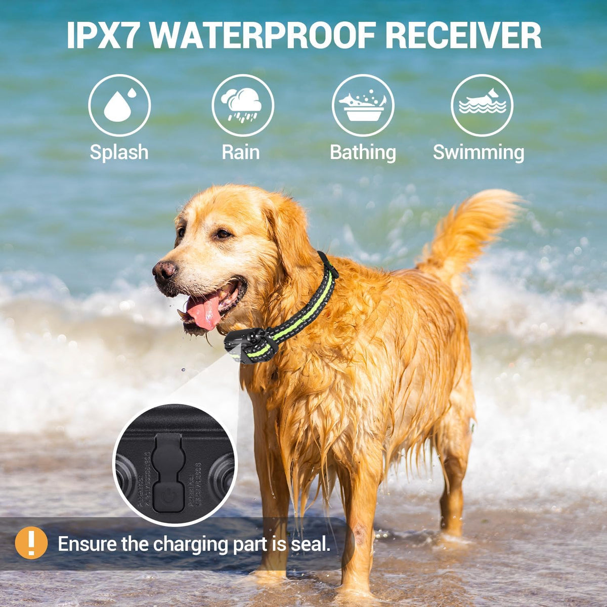 dog training collars, dog shock collar with remote, close-up detail