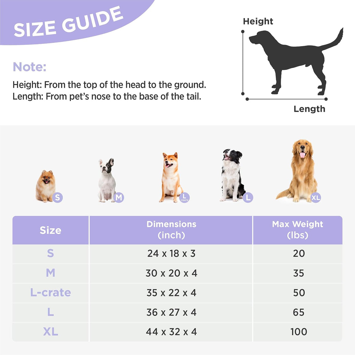 le sure cute orthopedic dog bed for extra showing dimensions
