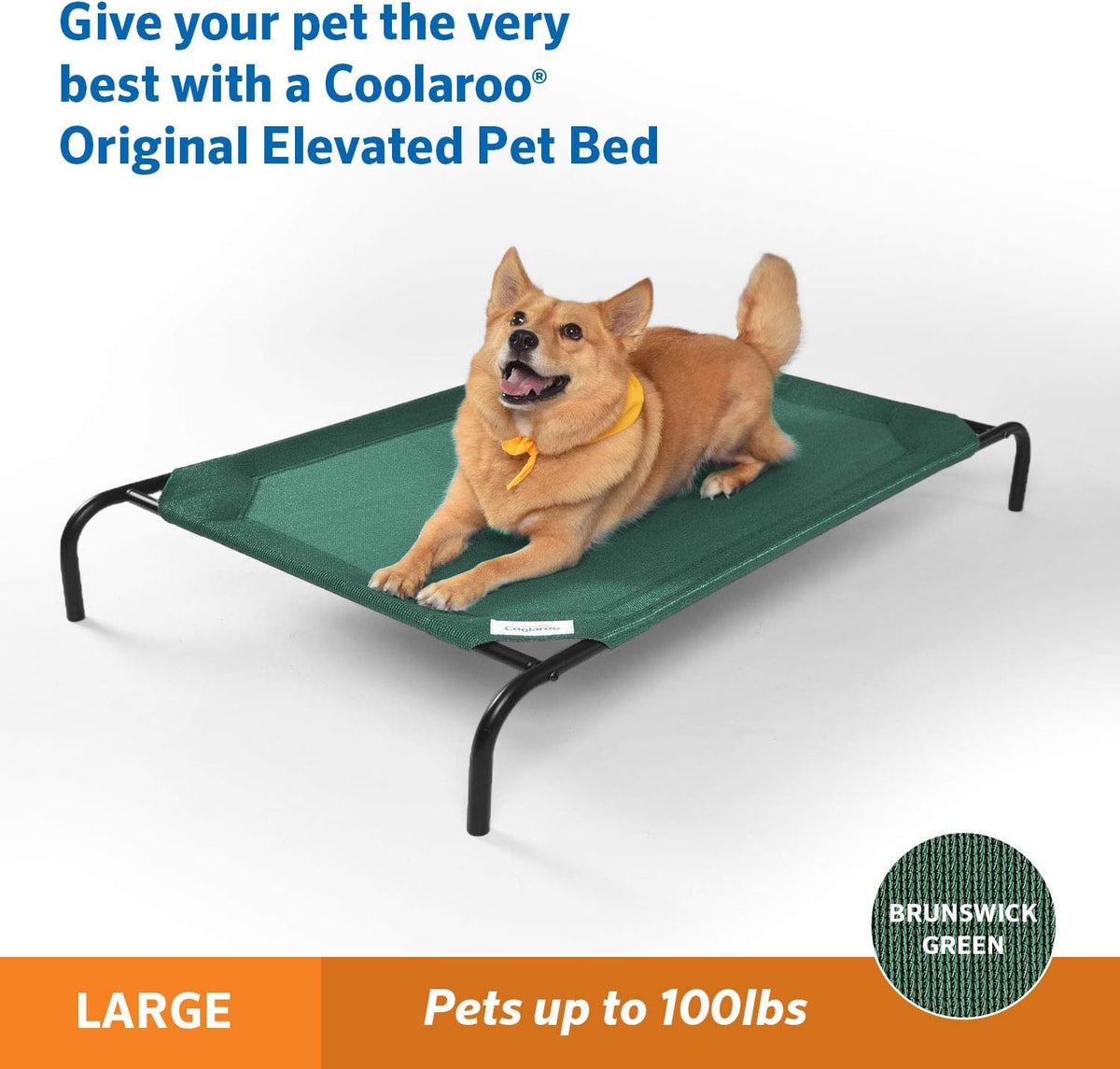 gale pacific coolaroo the original cooling elevated dog shown in use