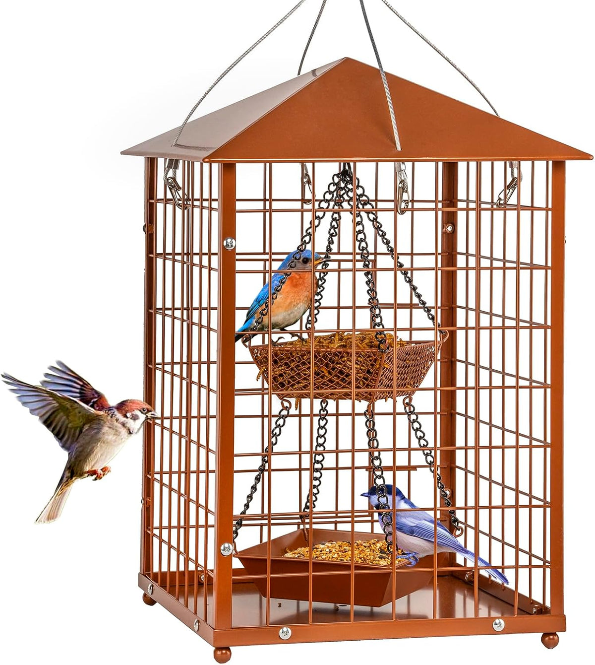 mealworms bird feeders for bluebirds - metal, main product view