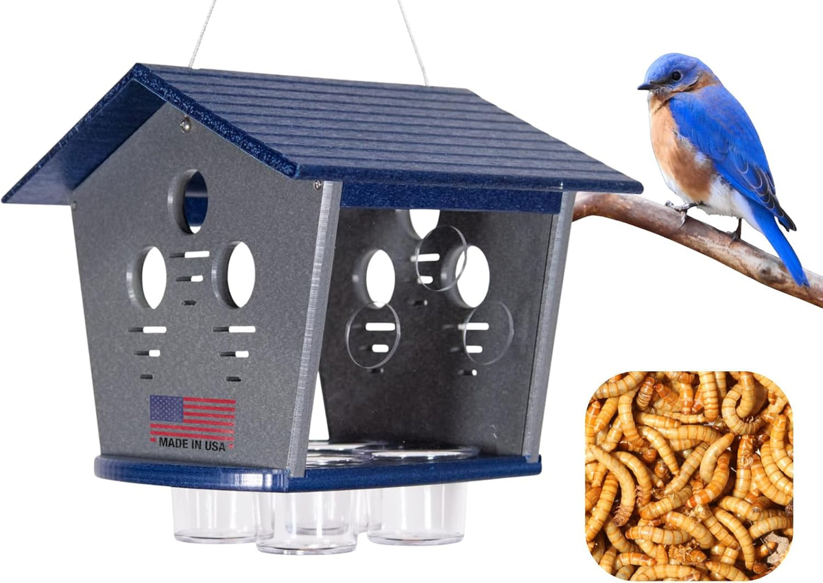 jcs wildlife enclosed bluebird feeder, keeps starlings and, main product view