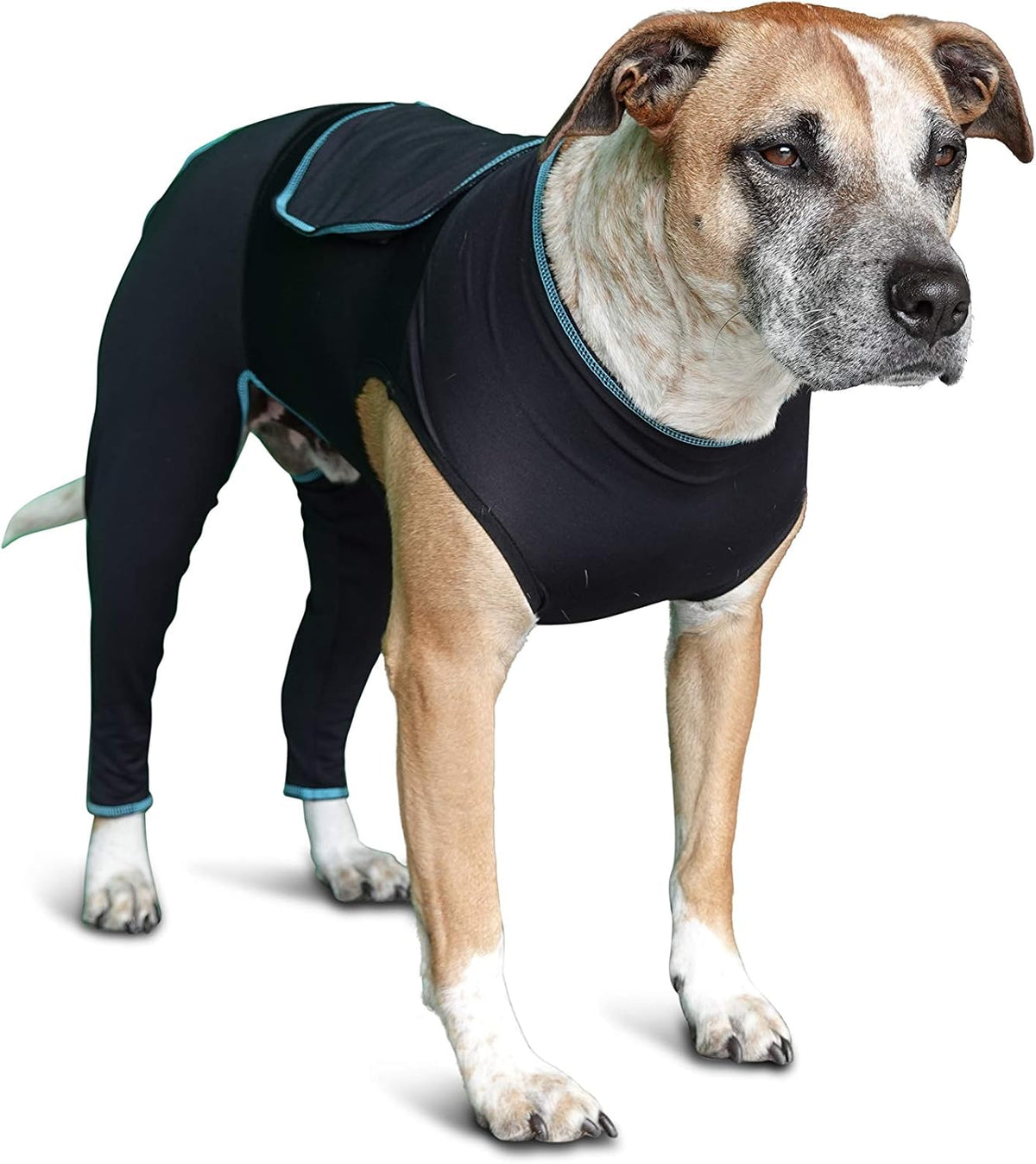 benefab therapeutic comfort suit for dogs — lightweight, close-up detail
