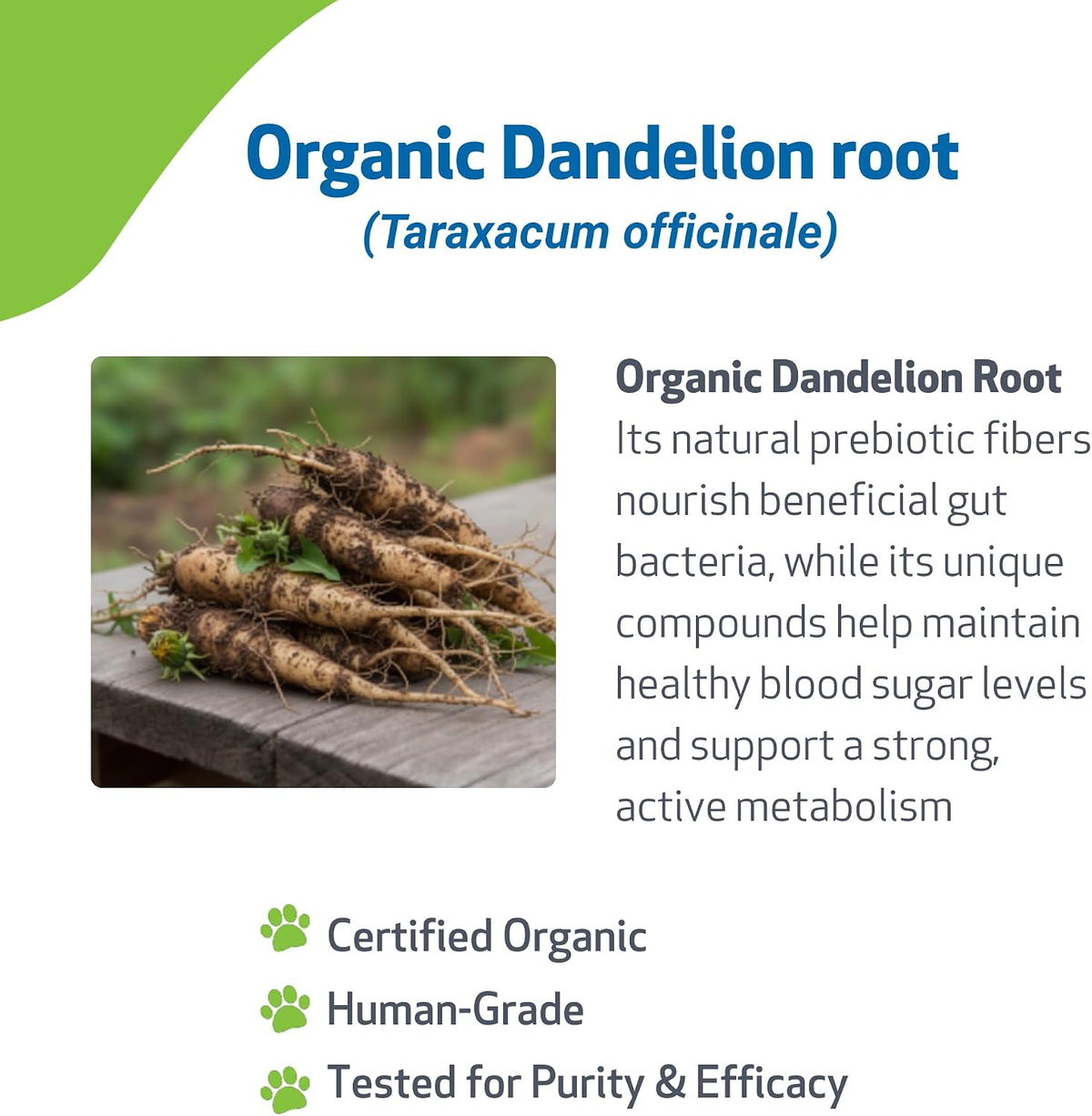 pet wellbeing dandelion root for dogs - liver, close-up detail