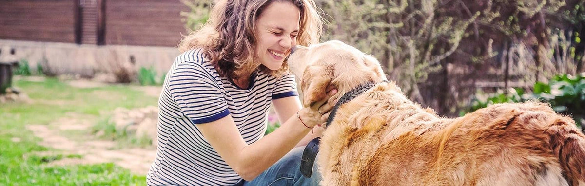 aloha medicinals k9 immunity plus, immune support supplement, close-up detail