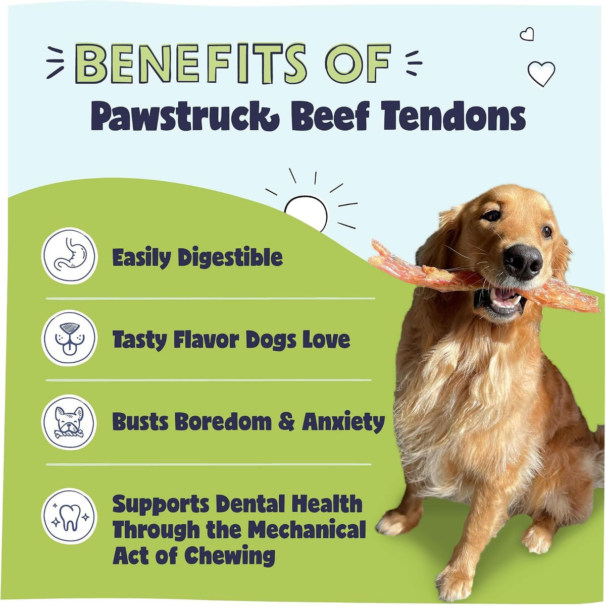 pawstruck 100% natural 7"-9” beef tendon chew sticks shown in use