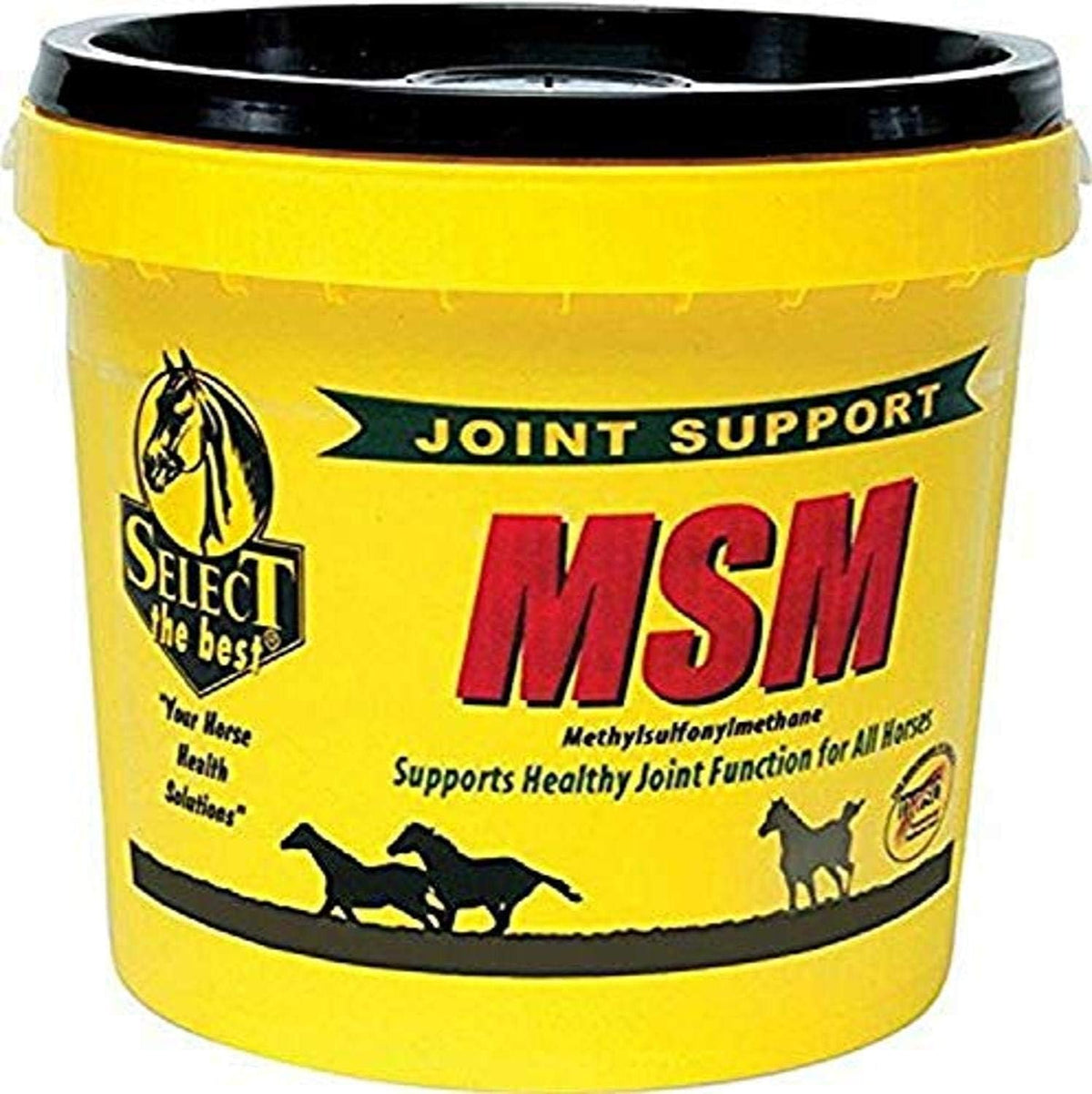 richdel 784299402003 msm powder joint support for horses, main product view