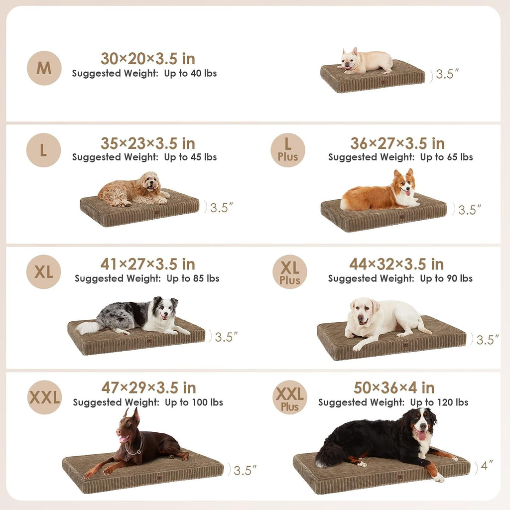 eheyciga orthopedic xl dog beds large sized dog shown in use