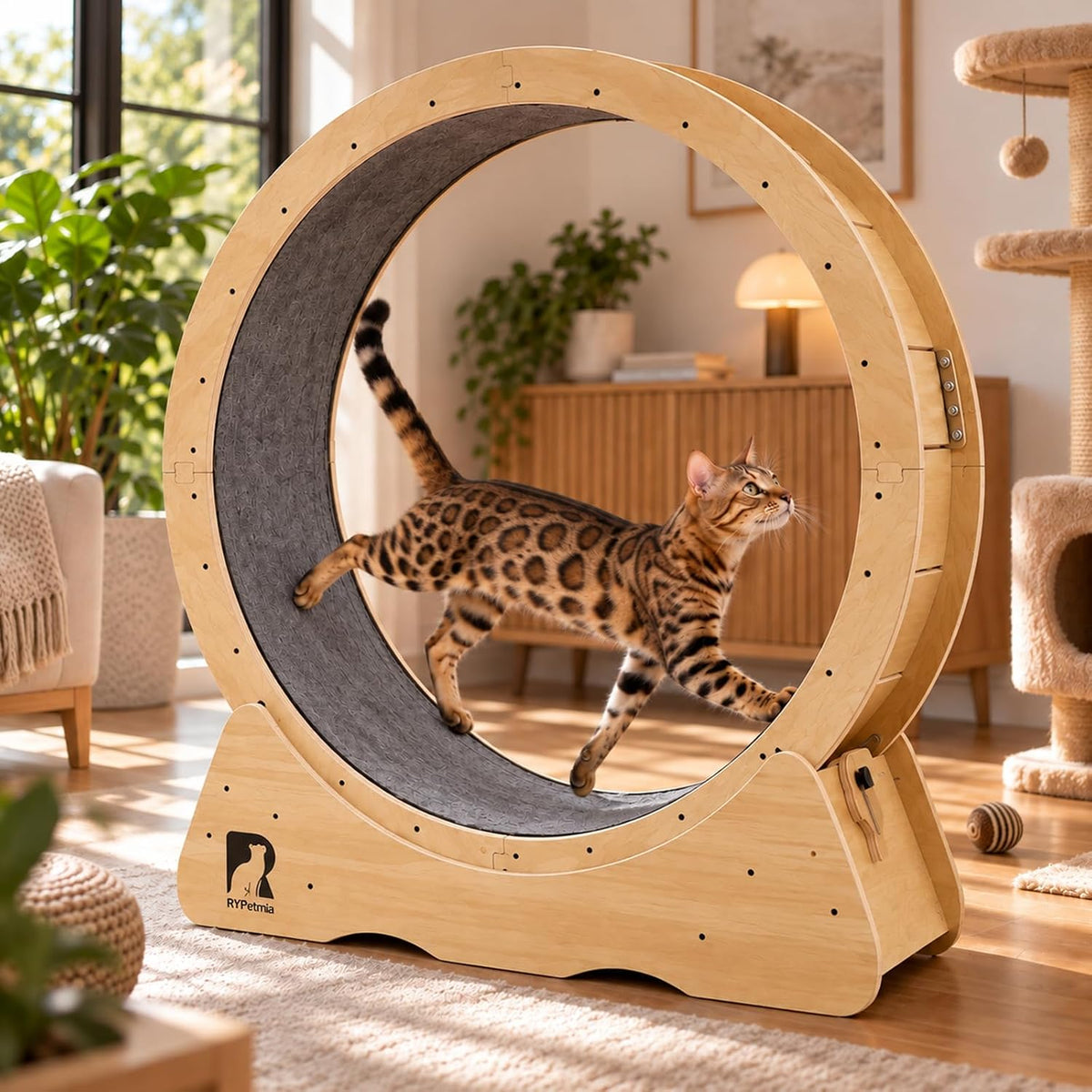 43" large cat exercise wheel for indoor cats, main product view