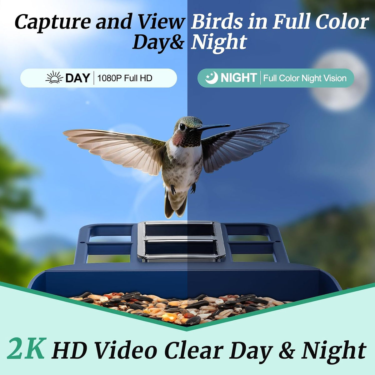 bird feeder with camera, solar powered, 2k hd, side view