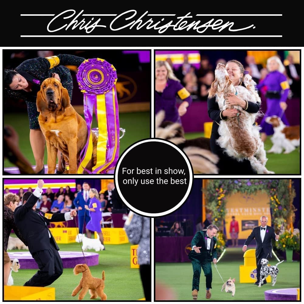 chris christensen boar dog brush, groom like a showing dimensions