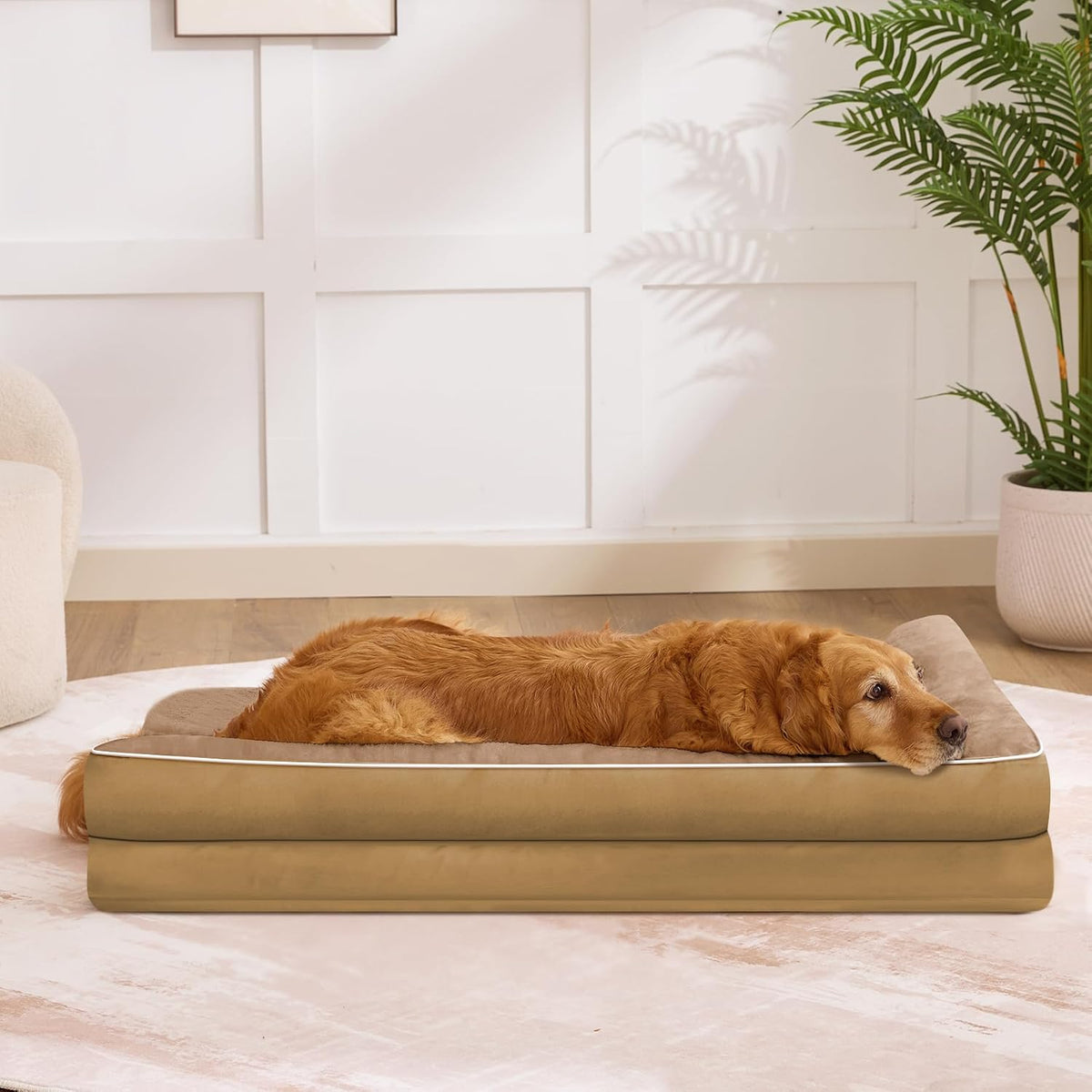 orthopedic dog bed for medium size dog, 36"x27"x6.5", package contents