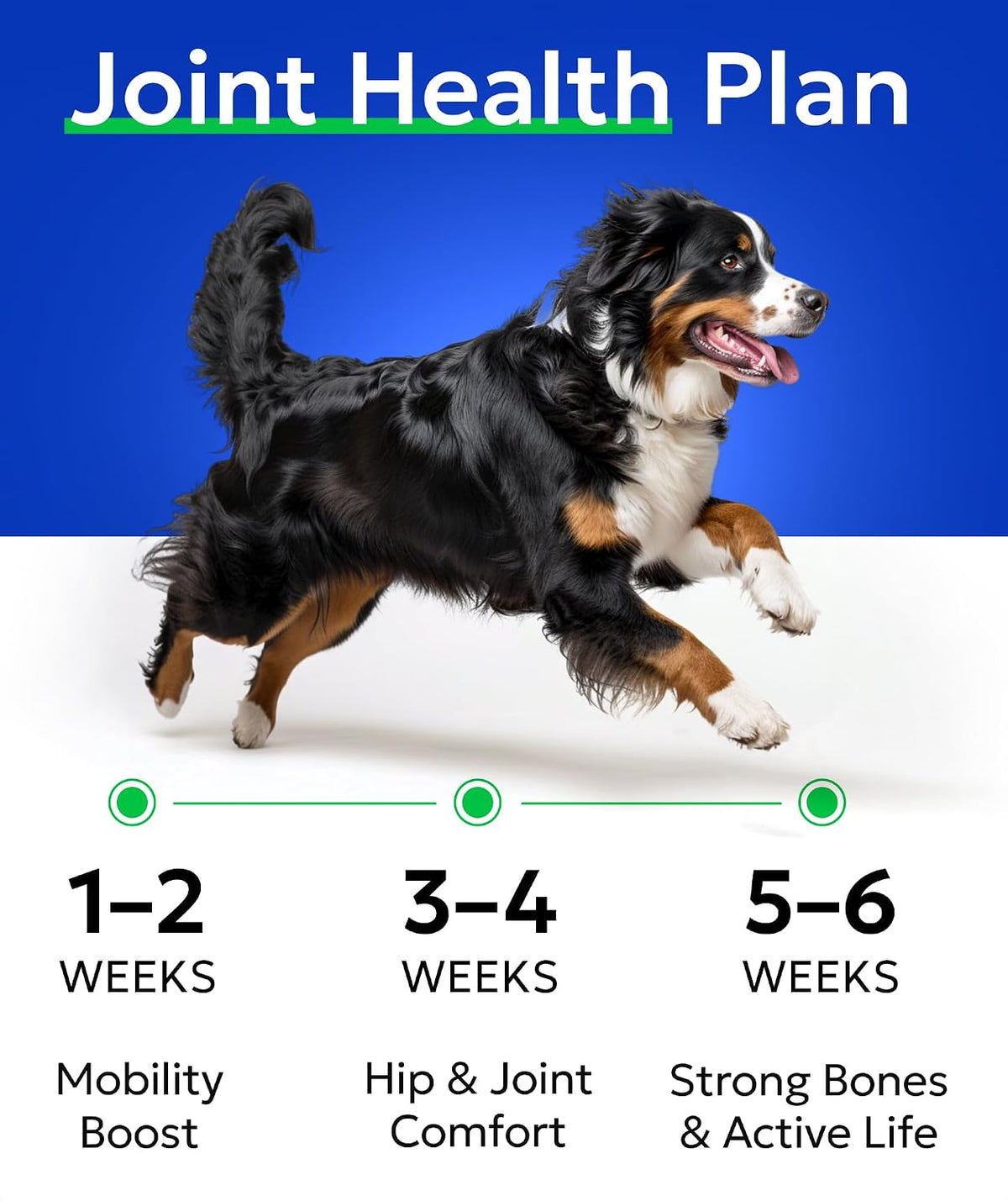 senior advanced glucosamine for dogs, chondroitin hip joint, side view