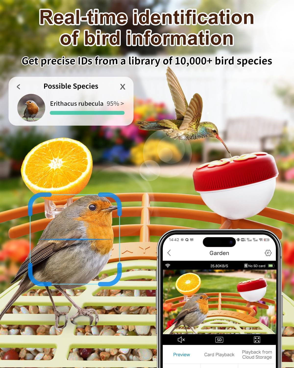 bird feeder with camera, 2k hd, ai recognition, close-up detail