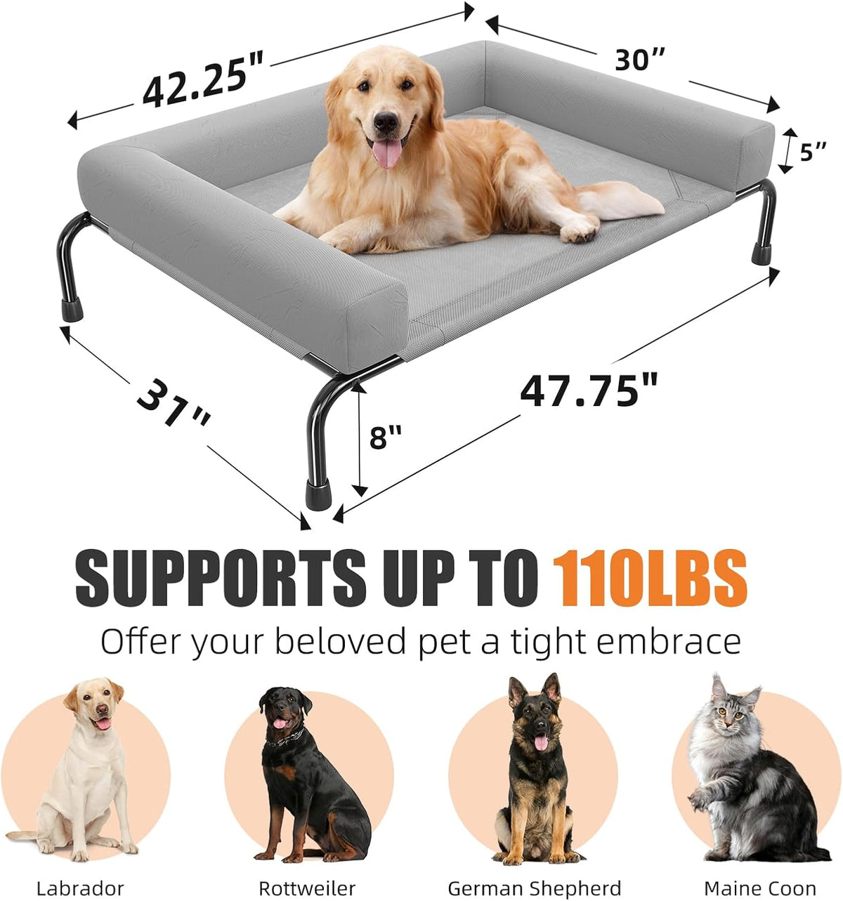 simple trending elevated dog bed for large dogs showing dimensions