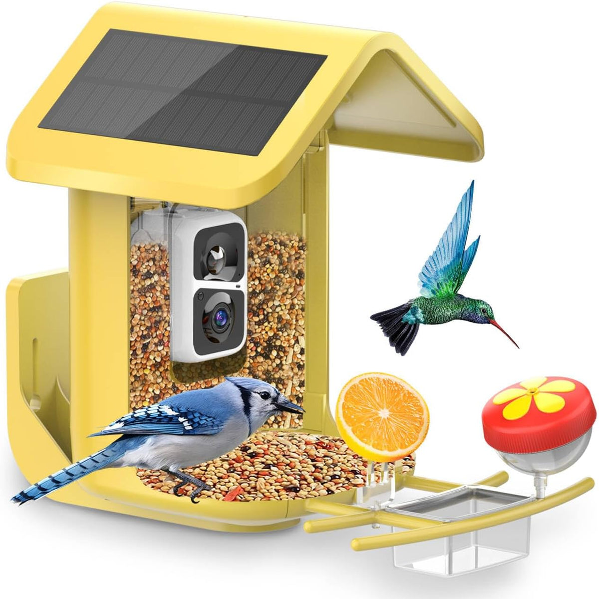 smart bird feeder with camera solar powered, 2k, main product view