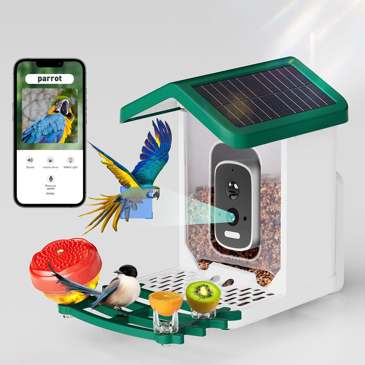 smart bird feeder with camera solar powered, 2.5k, main product view