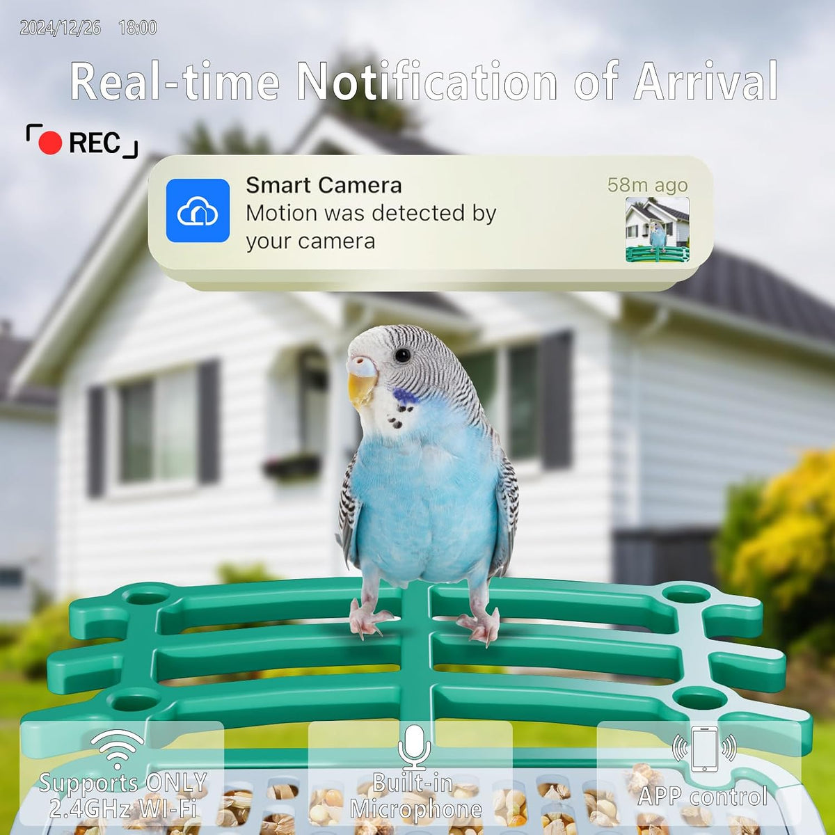 smart bird feeder with camera solar powered, 2.5k, close-up detail