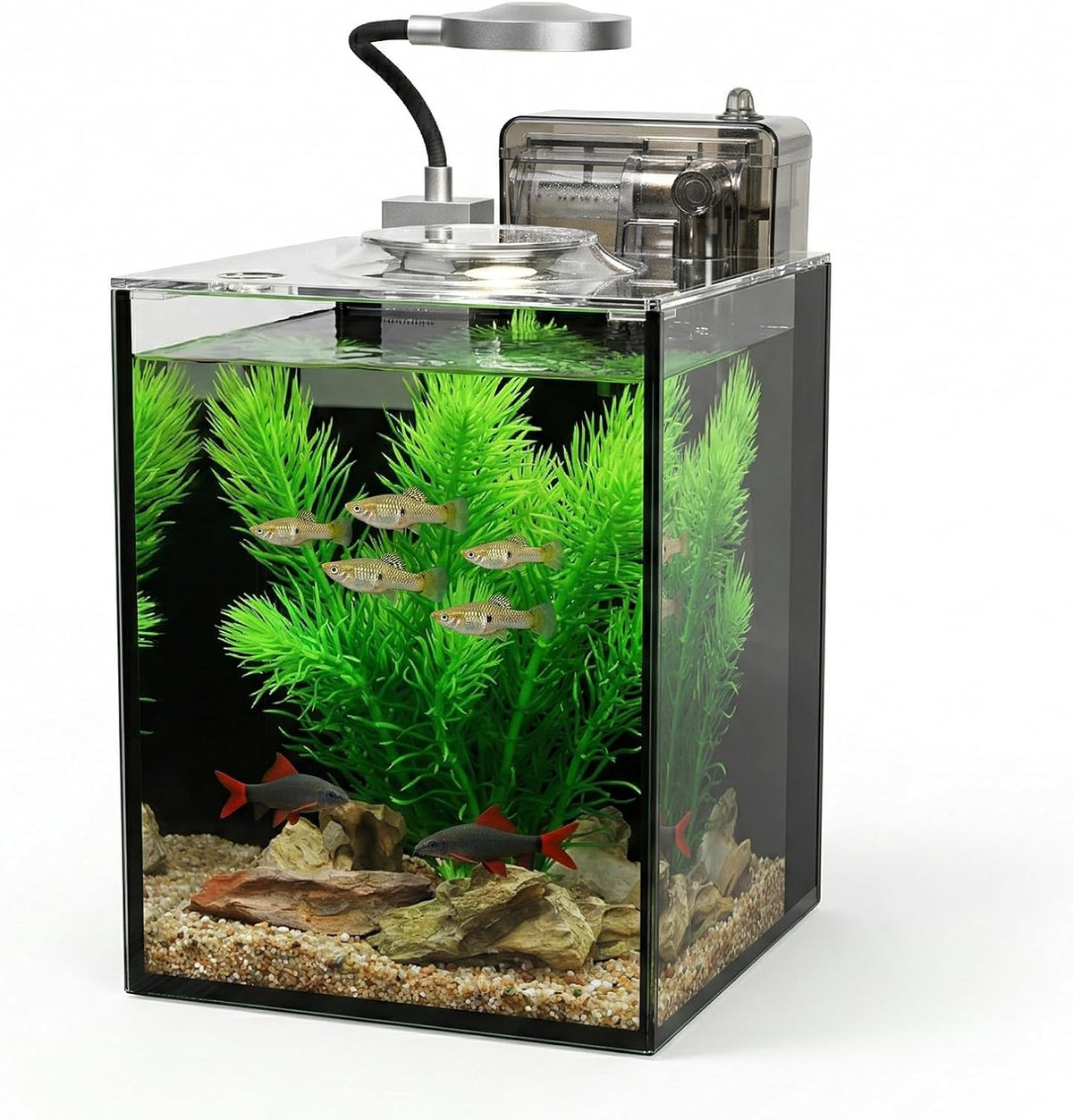 1.2 gallon small aquarium set glass fish tank,desktop, main product view