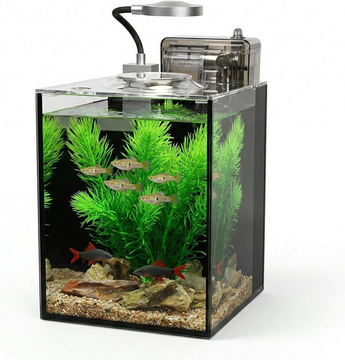 1.2 gallon small aquarium set glass fish tank,desktop, main product view