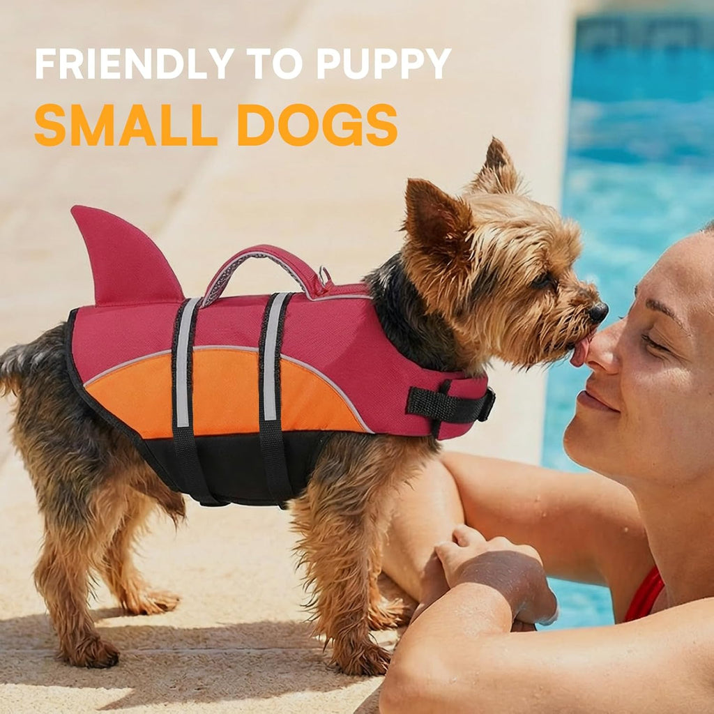 queenmore shark dog life vest - small dog on a desk or shelf