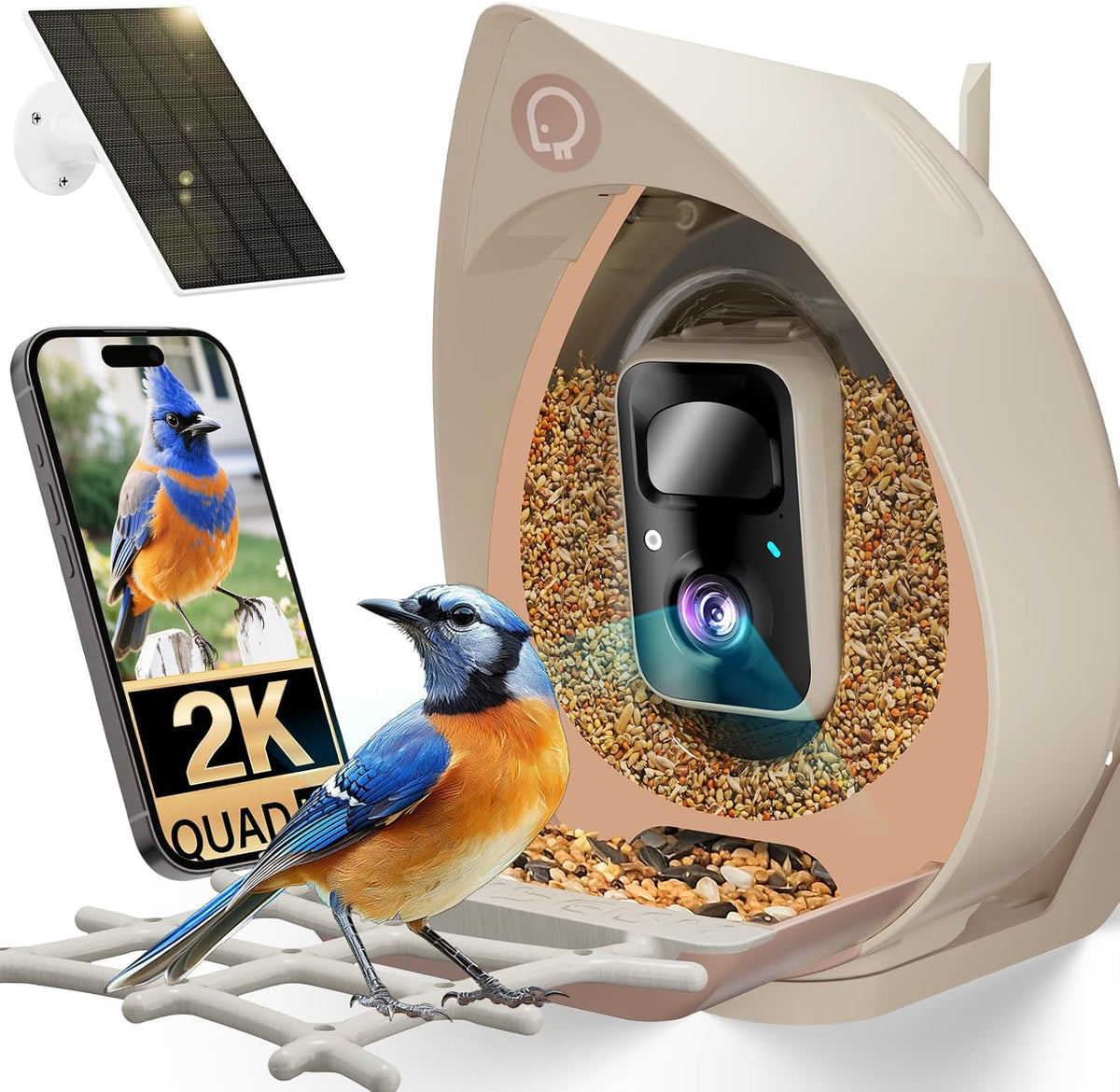 smart bird feeder with camera solar powered outdoor, main product view