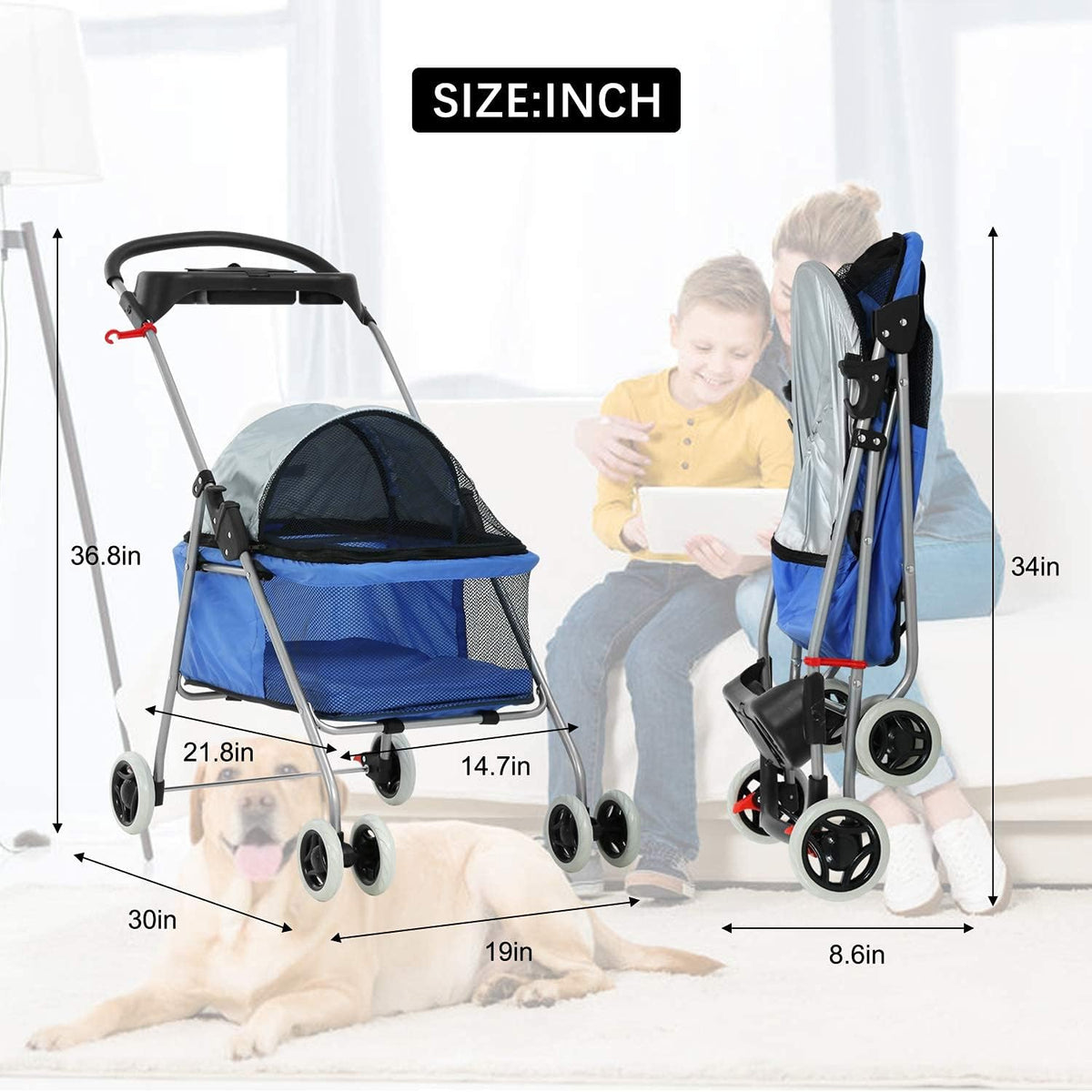 meet perfect pet stroller for small/medium dogs & shown in use